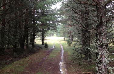 Casa Beatriz Valdelinares - Foto 31