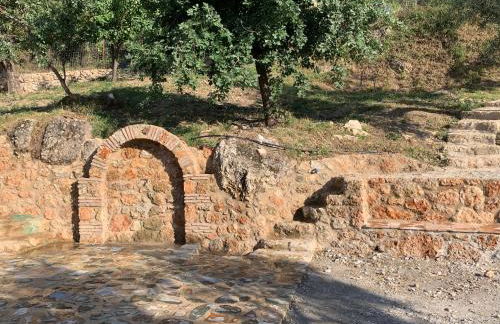 Olive Guest Farm - Foto 48