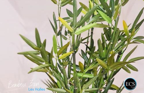 "Bambou Zen" - 5 couchages - Vieux Tours - Foto 19