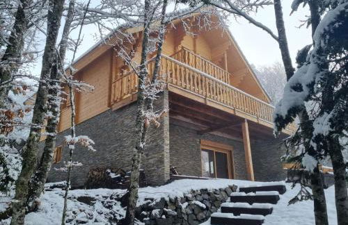 Le grand tetras - Foto 2