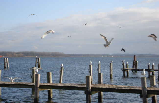 Ferienwohnung mit Garten in Zweedorf - Foto 28