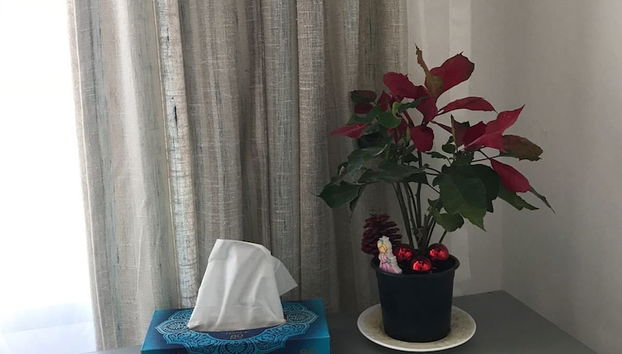 Restauration dans la chambre