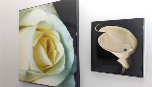 La casa di Gabry in residence con piscina comune - Photo 4