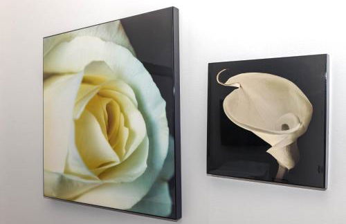 La casa di Gabry in residence con piscina comune - Photo 4