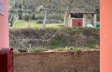 TOT'I Dè BARACA - Photo 32