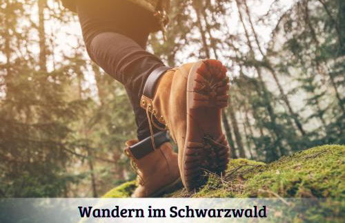 Gemütliches Apartment mit wundervollem Weitblick - Foto 32