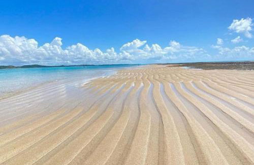 Mani Japaratinga - Foto 31