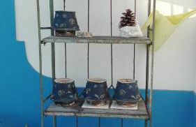 Água Rocha - Foto 22