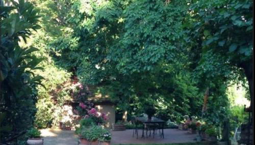 Poggio Etrusco sas di Sheldon Johns Pamela Kay - Foto 4, Garden