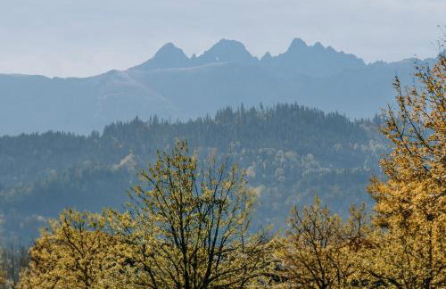 Domki Między Górami - Foto 3