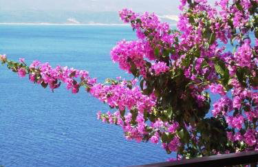 Family home away on the beach, free parking at the house - Foto 30