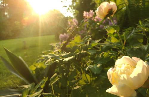 Wald-Apartment - Foto 32