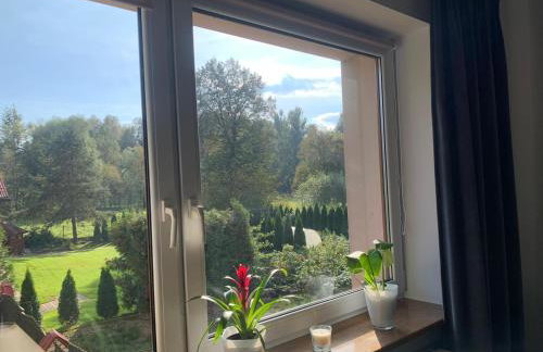 chillout w Rychwaldzie - Foto 22