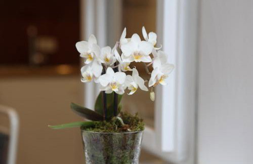 Apartment Addressa - Foto 9