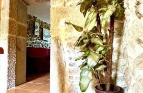 Casa a Voada - Rural con Piscina Privada, Barbacoa y Juegos - Foto 50