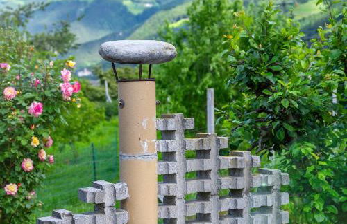 Biohof Gala - Foto 15