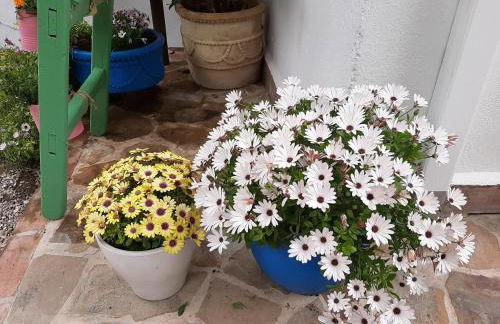 El Rincón de Carmen - Foto 69