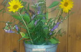 Le Farfalle - un angolo di quiete GREEN a Laghi in provincia di Vicenza - Photo 45