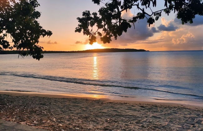 Beachfront Studios - Photo 58