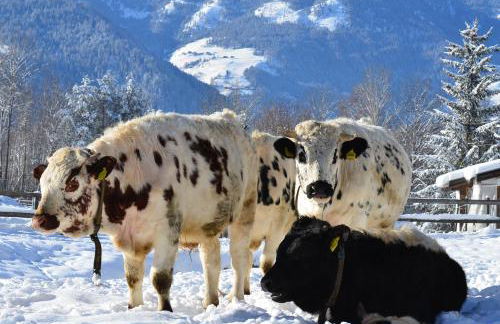 Maurerhof Apartments Kronplatz - Foto 14