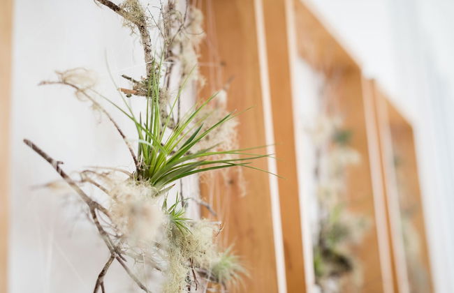 Apartamentos Praça Amarela - Foto 43