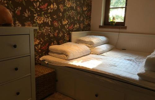 Dom Majówka i Apartamenty Bartoszówka i Michałówka - Foto 21