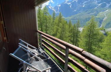 Baita delle marmotte CIR n 0012 - Foto 30