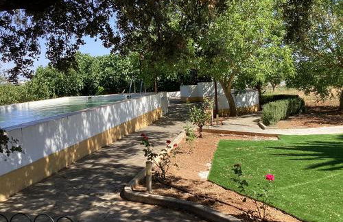 Quinta da Horta Nova - Foto 4