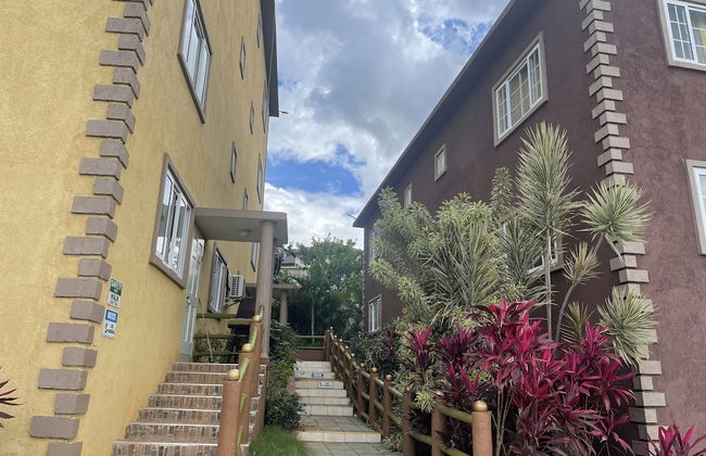 Pirate Palms - Foto 40