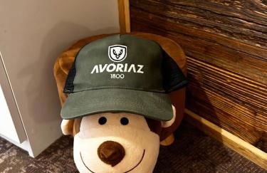 Avoriaz le M1212 - Photo 23