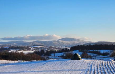 Lawendowy Dworek - Foto 45