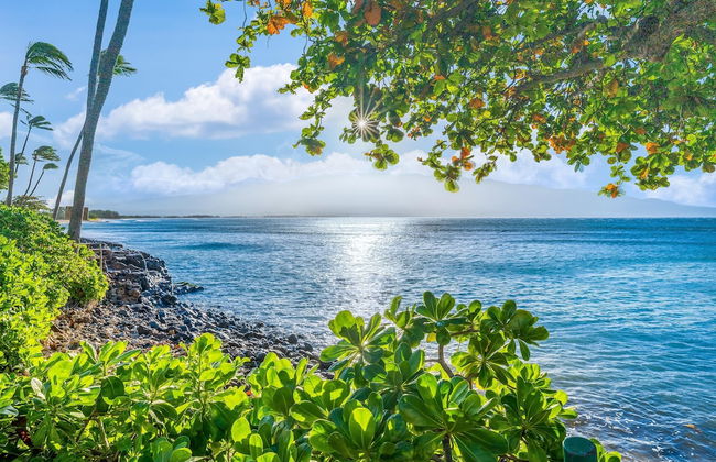 Kanai A Nalu 211 - Foto 45