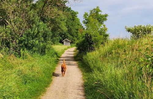 Ferienwohnung Hafenblick Ferienhof Geltinger Bucht - Foto 43
