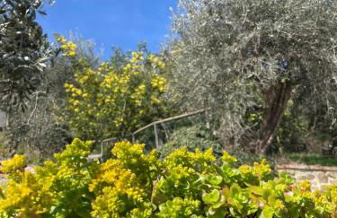 RESORT Panoramico Canale Suite - private parking - Natural Park - Photo 57