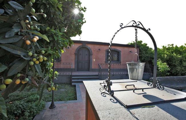 The Garden in the City Center - Photo 26