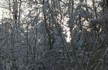 Harzglanz FeWos Blankenburger Str 8b - Foto 19