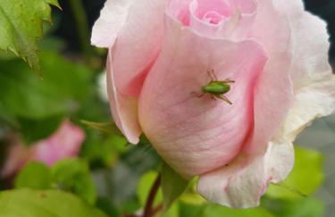 Ferienwohnung Hönnetal - Foto 13