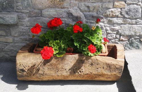 Da Manu - Blavy Nus - Foto 25