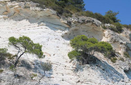 Camping Apartment Vignanotica - Foto 41