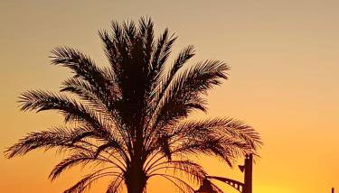 1ª LÍNEA DE PLAYA. Apartamento: LA CALMA - Foto 3