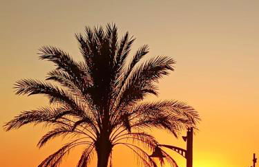 1ª LÍNEA DE PLAYA. Apartamento: LA CALMA - Foto 3