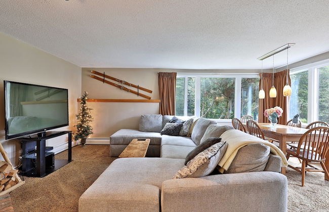 Fall Line Condo D1 1 Bedroom Condo - Foto 11