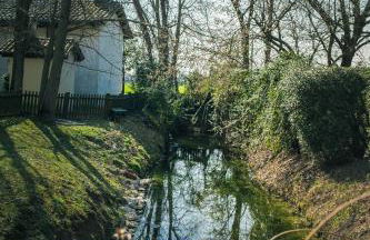 Le Vigne Morosina - Foto 7