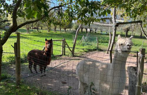 Landidylle OVS 109 - Foto 4