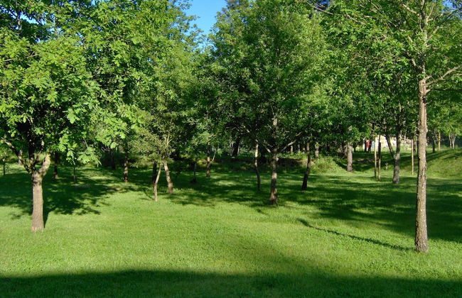 Room in B&B - Vale Martinho - Paradise is Real - Foto 10