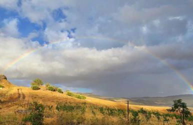 Nature Lovers Escape on an Eco-friendly Vineyard - Foto 47