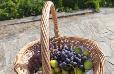 Quinta Alto da Fraga - Foto 15