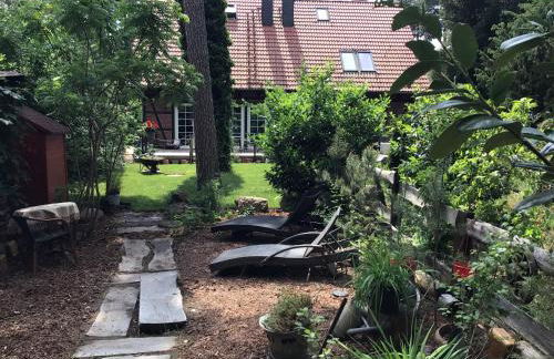 Welsh Dragon - Foto 38