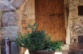 Can Salgueda - Photo 12