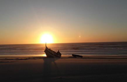 Forest Terrace Praia de Mira - Foto 72